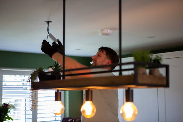 Best Affordable Emergency Electrician  in Freeland, MI