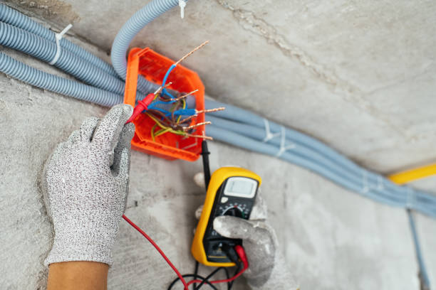 Best Electrical System Inspection  in Freeland, MI